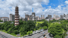 <b>功开辟了多个高质量项目</b>