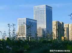 增值办事创价值”的